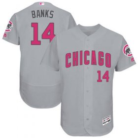 Wholesale Cheap Cubs #14 Ernie Banks Grey Flexbase Authentic Collection Mother\'s Day Stitched MLB Jersey