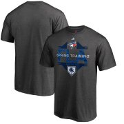 Wholesale Cheap Toronto Blue Jays Majestic 2019 Spring Training Grapefruit League Winner Big & Tall T-Shirt Gray