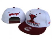 Wholesale Cheap NBA Chicago Bulls Snapback Ajustable Cap Hat DF 03-13_73