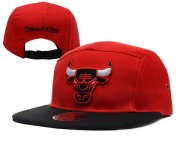 Wholesale Cheap NBA Chicago Bulls Snapback Ajustable Cap Hat YD 03-13_56