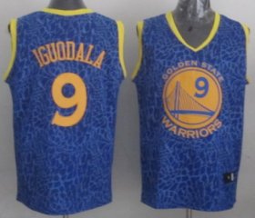 Wholesale Cheap Golden State Warriors #9 Andre Iguodala Blue Leopard Print Fashion Jersey