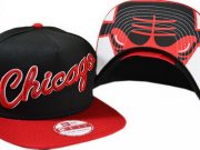 Wholesale Cheap NBA Chicago Bulls Snapback Ajustable Cap Hat XDF 03-13_06