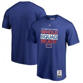 Wholesale Cheap New York Mets Majestic 2019 Spring Training Authentic Collection T-Shirt Royal