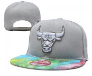 Wholesale Cheap NBA Chicago Bulls Snapback Ajustable Cap Hat YD 03-13_57