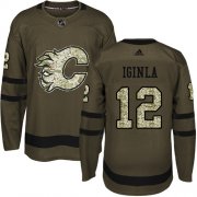 Wholesale Cheap Adidas Flames #12 Jarome Iginla Green Salute to Service Stitched NHL Jersey