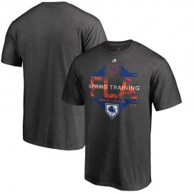 Wholesale Cheap New York Mets Majestic 2019 Spring Training Grapefruit League Winner T-Shirt Gray