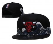 Wholesale Cheap 2021 NBA Chicago Bulls Hat TX 0707