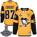 Wholesale Cheap Penguins #87 Sidney Crosby Gold 2017 Stadium Series Stanley Cup Finals Champions Stitched NHL Jersey