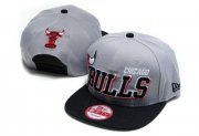 Wholesale Cheap NBA Chicago Bulls Snapback Ajustable Cap Hat DF 03-13_79