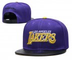 Wholesale Cheap 2021 NBA Los Angeles Lakers Hat TX3223