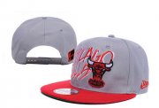 Wholesale Cheap NBA Chicago Bulls Snapback Ajustable Cap Hat XDF 03-13_21