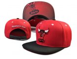 Wholesale Cheap NBA Chicago Bulls Snapback Ajustable Cap Hat LH 03-13_35