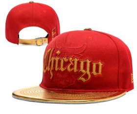 Wholesale Cheap NBA Chicago Bulls Snapback Ajustable Cap Hat YD 03-13_61