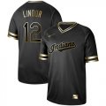 Wholesale Cheap Nike Indians #12 Francisco Lindor Black Gold Authentic Stitched MLB Jersey