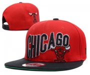 Wholesale Cheap NBA Chicago Bulls Snapback Ajustable Cap Hat DF 03-13_31