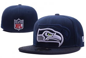 Wholesale Cheap Seattle Seahawks fitted hats 02