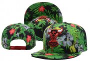 Wholesale Cheap NBA Chicago Bulls Snapback Ajustable Cap Hat XDF 03-13_18