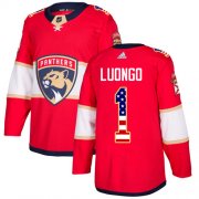 Wholesale Cheap Adidas Panthers #1 Roberto Luongo Red Home Authentic USA Flag Stitched NHL Jersey