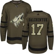 Wholesale Cheap Adidas Coyotes #17 Alex Galchenyuk Green Salute to Service Stitched NHL Jersey