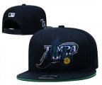 Wholesale Cheap Tampa Bay Rays Stitched Baseball Snapback Hats 001