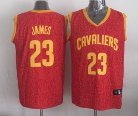 Wholesale Cheap Cleveland Cavaliers #23 LeBron James Red Leopard Print Fashion Jersey