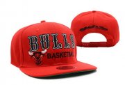 Wholesale Cheap NBA Chicago Bulls Snapback Ajustable Cap Hat XDF 03-13_17