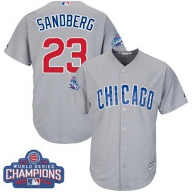 Wholesale Cheap Cubs #23 Ryne Sandberg Grey Road 2016 World Series Champions Stitched Youth MLB Jersey