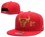 Wholesale Cheap NBA Chicago Bulls Snapback Ajustable Cap Hat LH 03-13_13