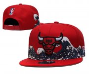 Wholesale Cheap 2021 NBA Chicago Bulls Hat TX 07073
