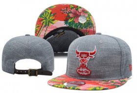 Wholesale Cheap NBA Chicago Bulls Snapback Ajustable Cap Hat YD 03-13_84