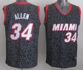 Wholesale Cheap Miami Heat #34 Ray Allen Black Leopard Print Fashion Jersey