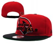 Wholesale Cheap Arizona Cardinals Snapbacks YD018