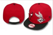 Wholesale Cheap NBA Chicago Bulls Snapback Ajustable Cap Hat DF 03-13_85