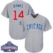 Wholesale Cheap Cubs #14 Ernie Banks Grey Road 2016 World Series Champions Stitched Youth MLB Jersey