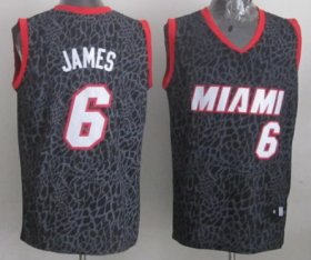 Wholesale Cheap Miami Heat #6 LeBron James Black Leopard Print Fashion Jersey