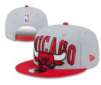 Cheap Chicago Bulls Stitched Snapback Hats 0102