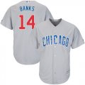 Wholesale Cheap Cubs #14 Ernie Banks Grey Road Stitched Youth MLB Jersey