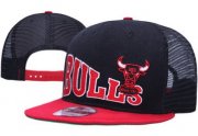 Wholesale Cheap NBA Chicago Bulls Snapback Ajustable Cap Hat XDF 03-13_01