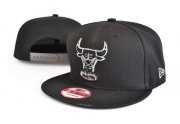 Wholesale Cheap NBA Chicago Bulls Snapback Ajustable Cap Hat LH 03-13_31