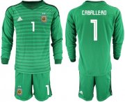 Wholesale Cheap Argentina #1 Caballero Green Long Sleeves Goalkeeper Soccer Country Jersey