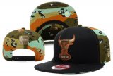 Wholesale Cheap NBA Chicago Bulls Snapback Ajustable Cap Hat YD 03-13_63
