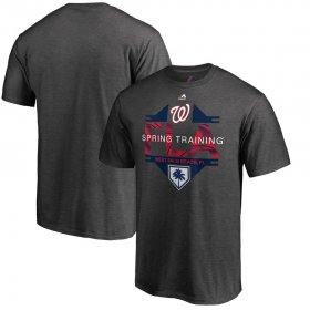 Wholesale Cheap Washington Nationals Majestic 2019 Spring Training Grapefruit League Winner Big & Tall T-Shirt Gray
