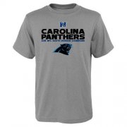 Wholesale Cheap Youth Carolina Panthers Heather Gray 2015 NFC South Division Champions Next Level T-Shirt