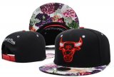 Wholesale Cheap NBA Chicago Bulls Snapback Ajustable Cap Hat DF 03-13_06