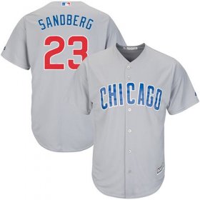 Wholesale Cheap Cubs #23 Ryne Sandberg Grey Road Stitched Youth MLB Jersey