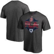 Wholesale Cheap Boston Red Sox Majestic 2019 Spring Training Grapefruit League Big & Tall Winner T-Shirt Gray