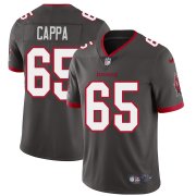 Wholesale Cheap Tampa Bay Buccaneers #65 Alex Cappa Men's Nike Pewter Alternate Vapor Limited Jersey