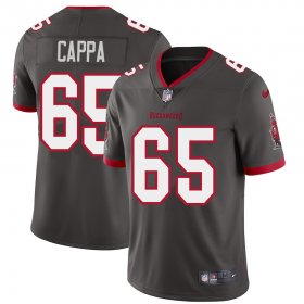 Wholesale Cheap Tampa Bay Buccaneers #65 Alex Cappa Men\'s Nike Pewter Alternate Vapor Limited Jersey