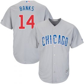 Wholesale Cheap Cubs #14 Ernie Banks Grey Road Stitched Youth MLB Jersey