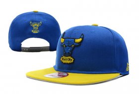 Wholesale Cheap NBA Chicago Bulls Snapback Ajustable Cap Hat YD 03-13_45